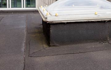 disadvantages of Rhydlydan flat roofs