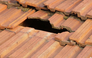 roof repair Rhydlydan