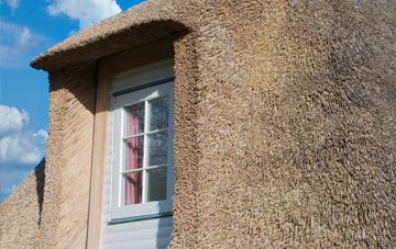 Rhydlydan thatch roof disadvantages